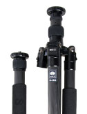 Converts 2 Monopod